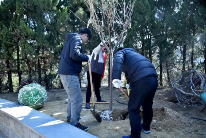 春風十里，植下一片綠 | 瑞源控股集團開展2023年植樹節(jié)系列活動